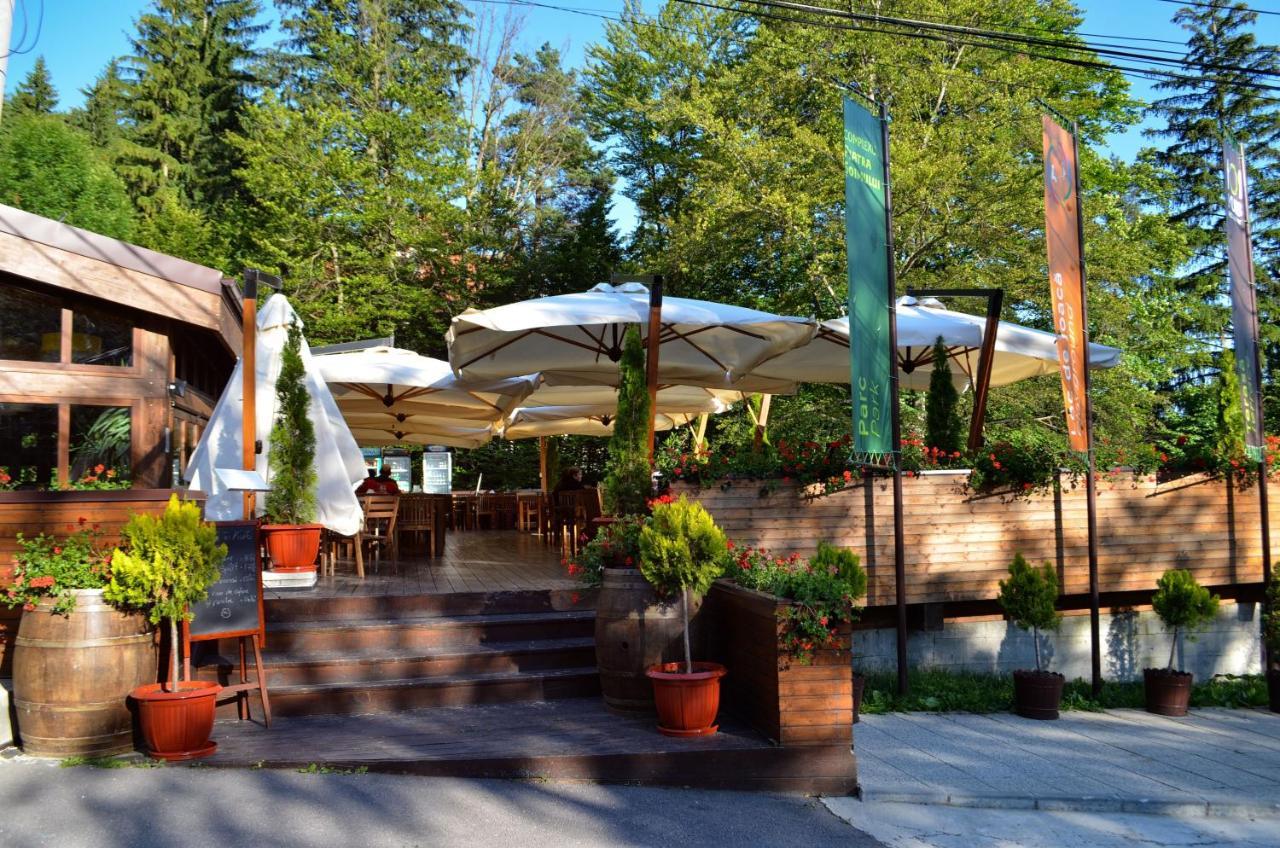 Hotel Piatra Soimului Sinaia Exterior foto